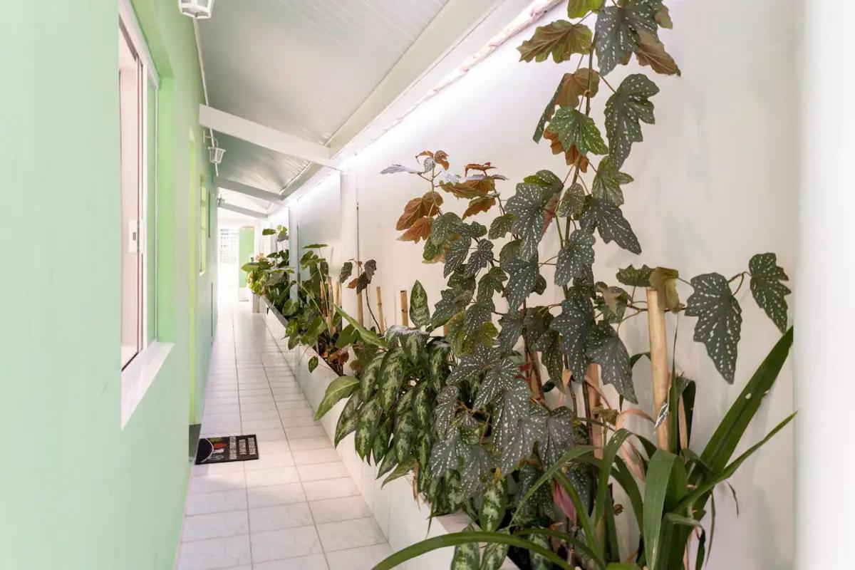 Casa Com 4 Quartos Centro ساو سيباستياو المظهر الخارجي الصورة